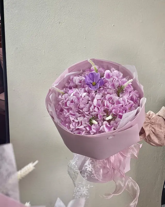 Cẩm tú cầu tím, ảnh 2/2