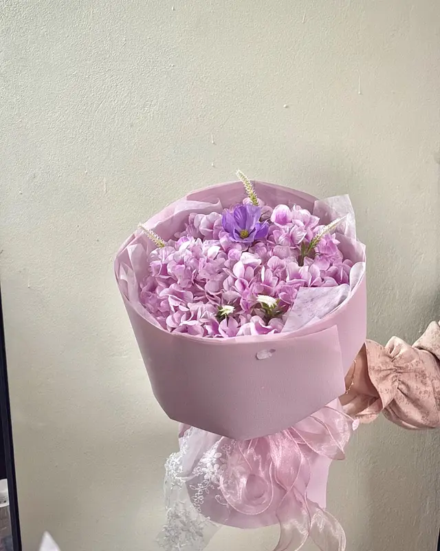 Cẩm tú cầu tím