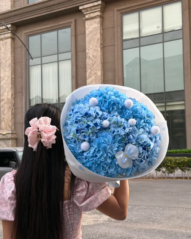 Cẩm tú cầu xanh, ảnh 2/2