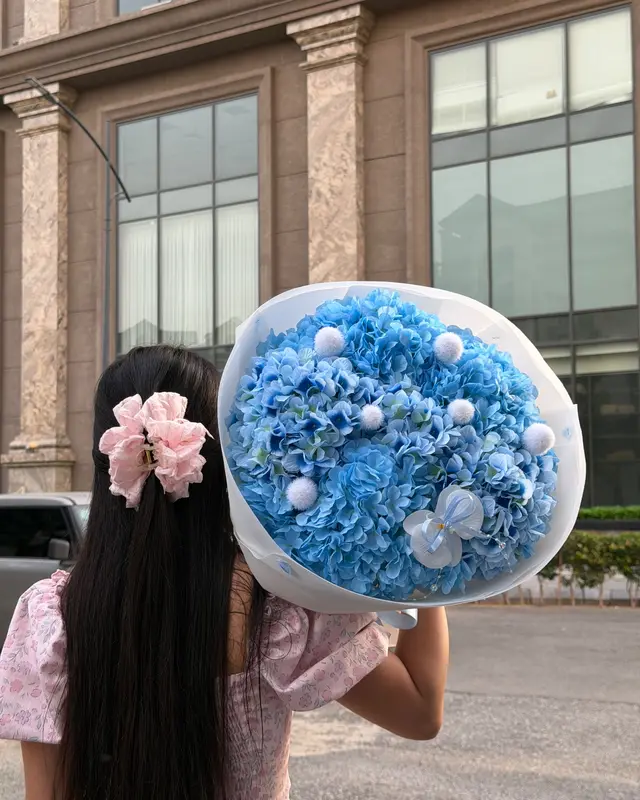 Cẩm tú cầu xanh